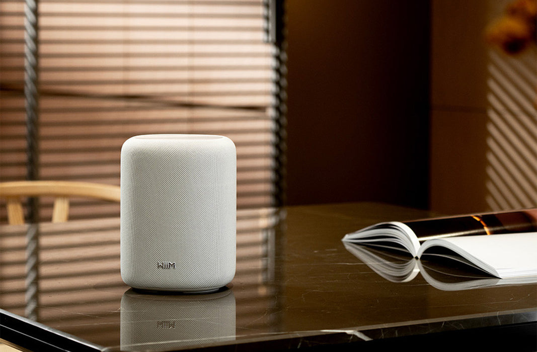 WiiM Sound Lite Smart Speaker | Wi-Fi & Bluetooth