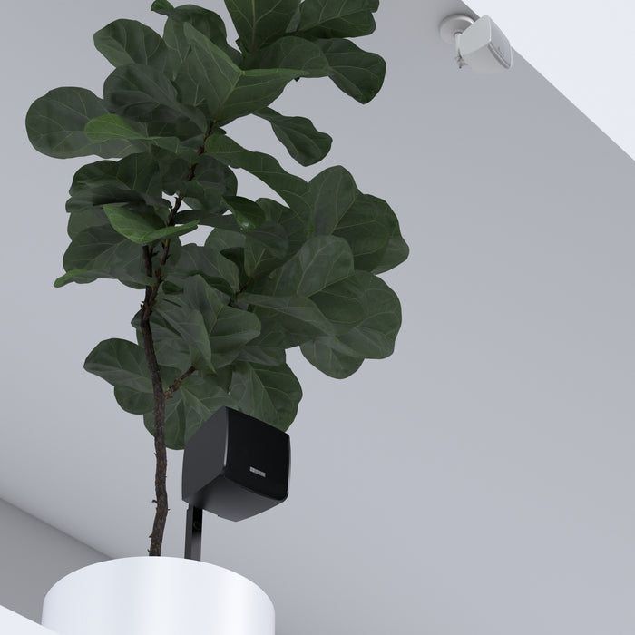 Ecler eMOTUS5OD 5" 2-Way Wall Speakers, IP65 Rated 100V/8Ω (Pair) – Black Or White