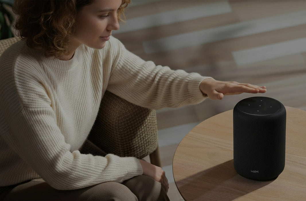 WiiM Sound Lite Smart Speaker | Wi-Fi & Bluetooth