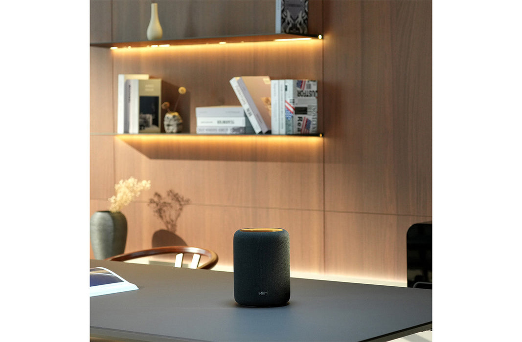 WiiM Sound Lite Smart Speaker | Wi-Fi & Bluetooth