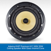 Adastra KV6T Speaker Inside Cone