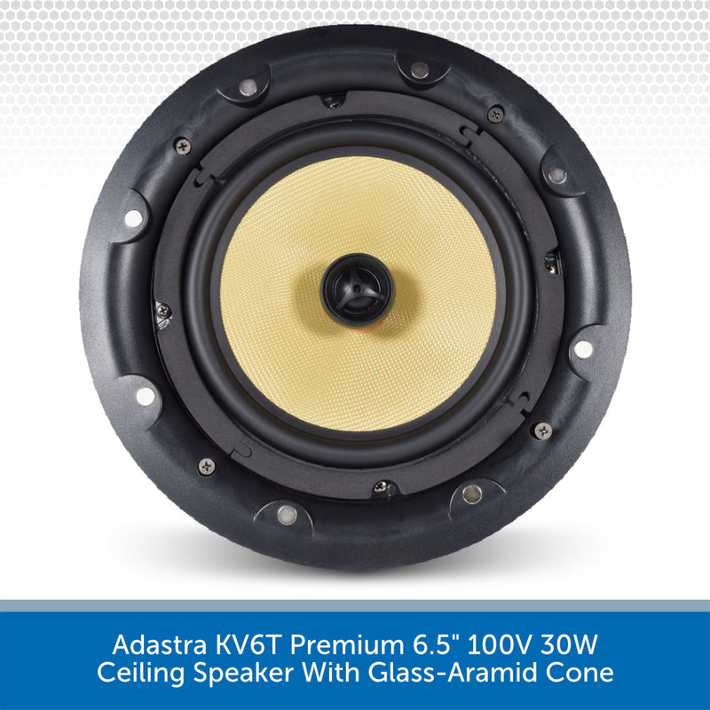 Adastra KV6T Speaker Inside Cone