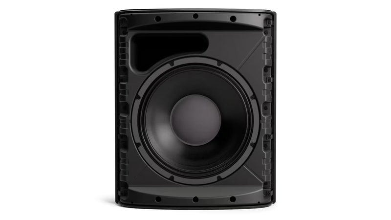 Bose DesignMax DM12SE 12" Coaxial Wall-Mount Loudspeaker, Single - Black or White