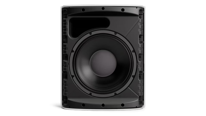 Bose DesignMax DM12SE 12" Coaxial Wall-Mount Loudspeaker, Single - Black or White