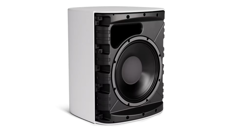 Bose DesignMax DM12SE 12" Coaxial Wall-Mount Loudspeaker, Single - Black or White