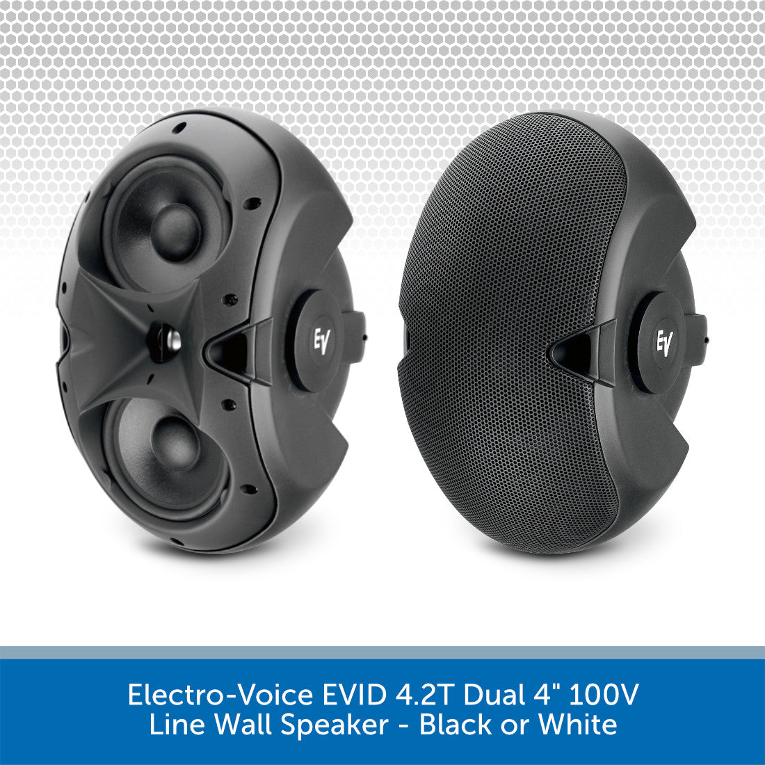 Electro-Voice EVID-4.2T Dual 4