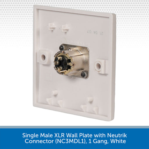 Single Male XLR Wall Plate with Neutrik Connector on a white background