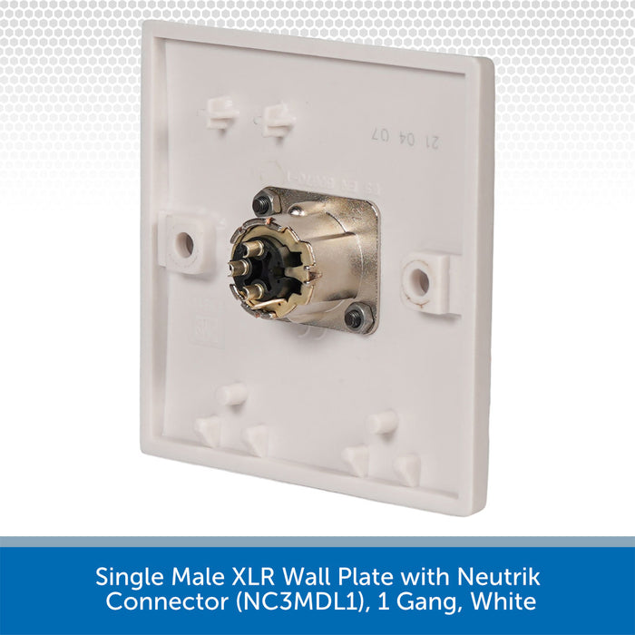 Single Male XLR Wall Plate with Neutrik Connector on a white background