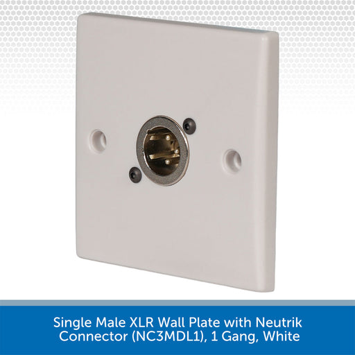 Single Male XLR wall plate with Neutrik connector on a white background