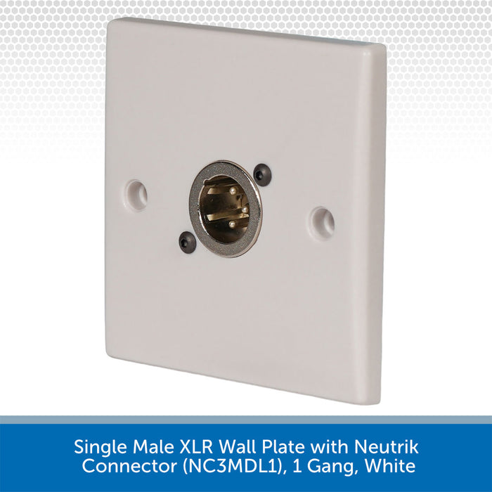 Single Male XLR wall plate with Neutrik connector on a white background
