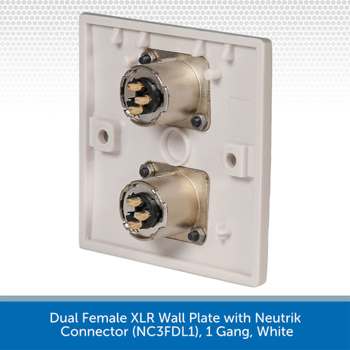 Dual Female XLR Wall Plate with Neutrik Connector on a white background