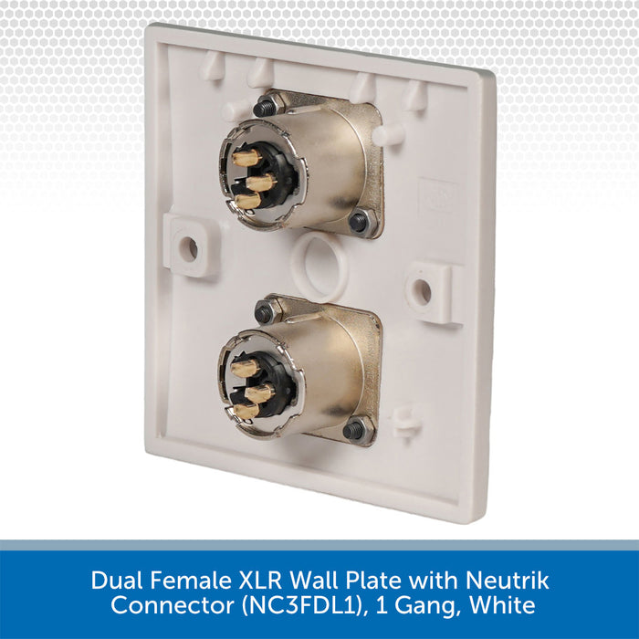 Dual Female XLR Wall Plate with Neutrik Connector on a white background