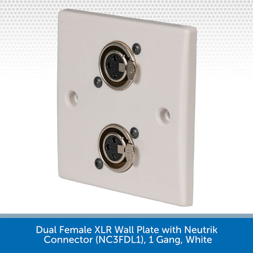White dual female XLR wall plate with Neutrik connectors on a white background