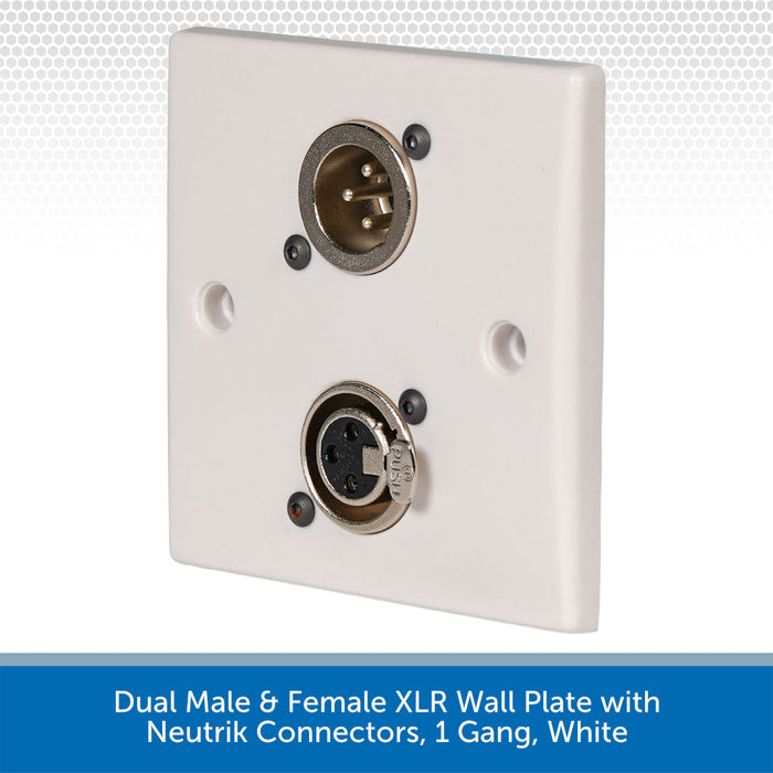 White XLR wall plate with dual male and female connectors on a white background