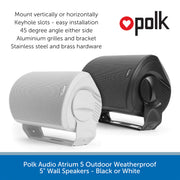 Polk Audio Atrium 5