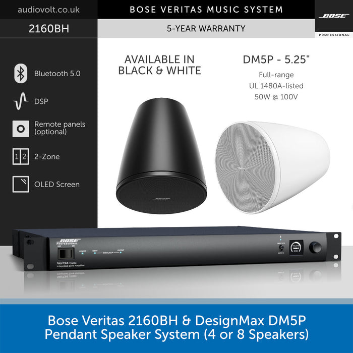 Bose Veritas Music System with pendant speakers and amplifier on a white background