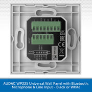 WP225Back