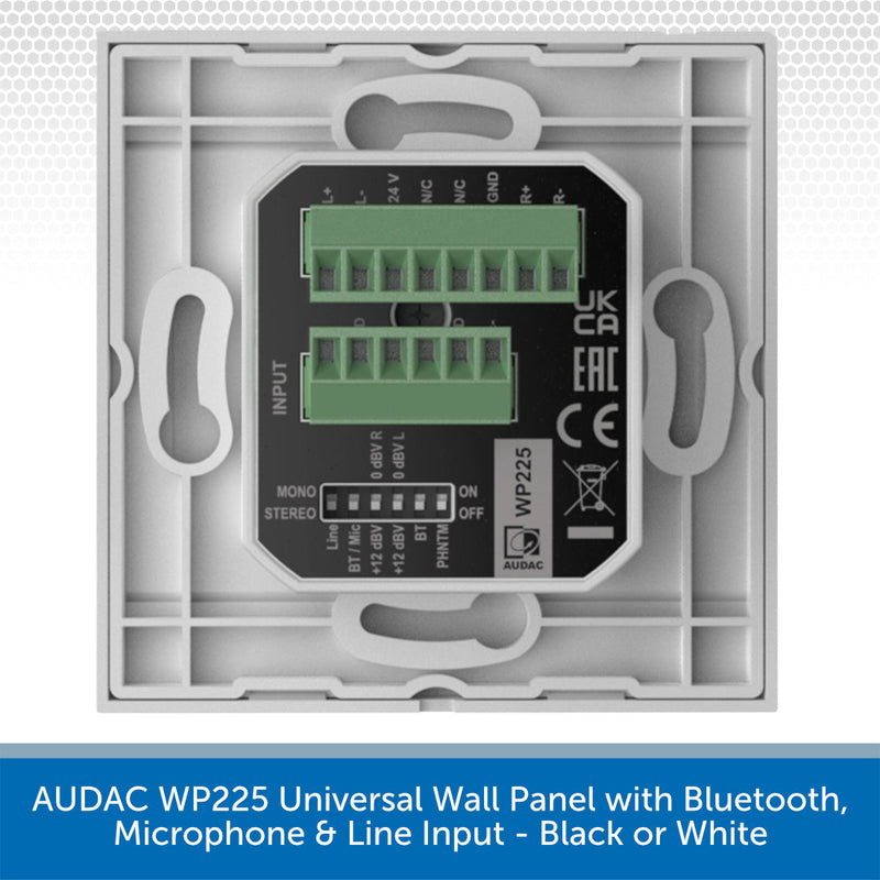 WP225Back
