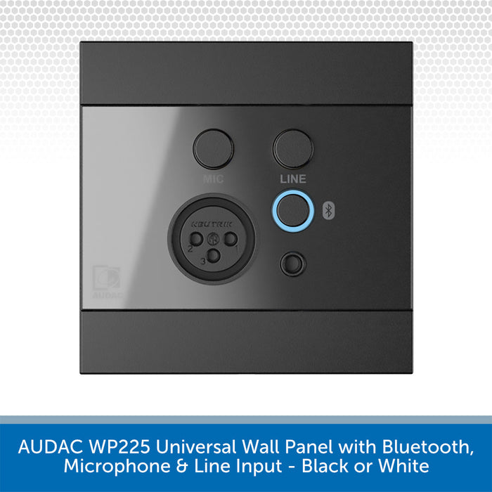 WP225Black