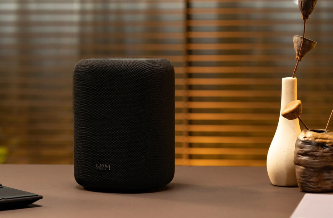 WiiM Sound Lite Smart Speaker | Wi-Fi & Bluetooth