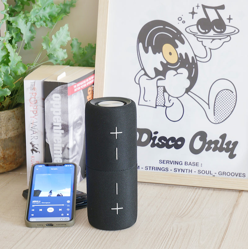 Steepletone SPLIT Rechargeable Bluetooth Speaker (Black or Grey)
