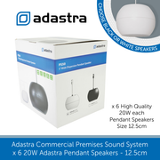 Showing box for 20W pendant speakers 